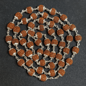 Rudraksha With Silver Cap Mala
