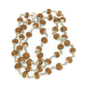 Rudraksha With Silver Cap Mala