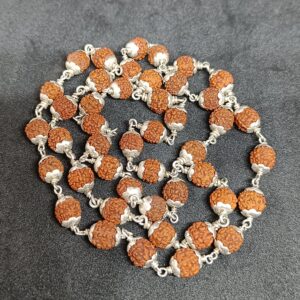 Rudraksha With Silver Cap Mala