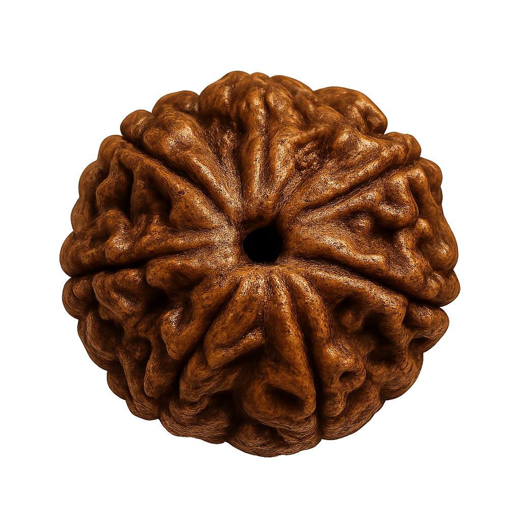 Rudraksha Beads