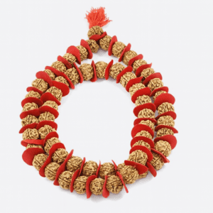 5 mukhi rudraksha kantha