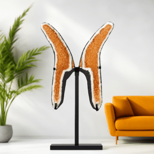 Citrine Butterfly (Meditation & Manifestation)