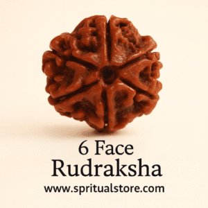 6 face / Mukhi Nepali Rudraksha