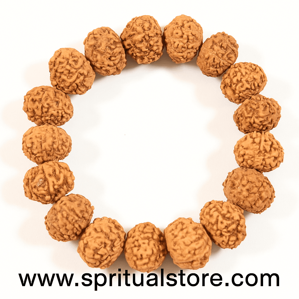 Spritual Store 7 Mukhi Rudraksha Bracelet Certified Energized 7 Mukhi Rudraksha Bracelet Adjustable Unisex - Image 2