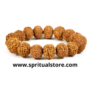 Spritual Store 7 Mukhi Rudraksha Bracelet Certified Energized 7 Mukhi Rudraksha Bracelet Adjustable Unisex
