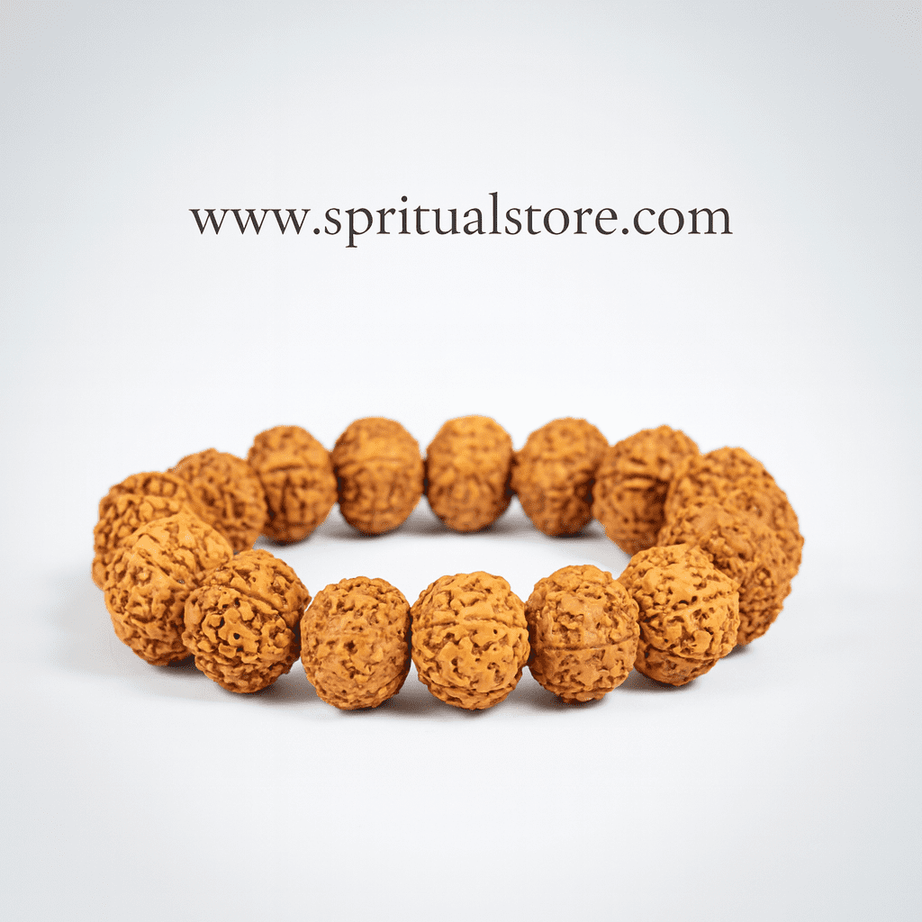 Spritual Store 8 Mukhi Rudraksha Bracelet Unisex Bracelet Java Beads Adjustable 8 Mukhi Rudraksha Bracelet