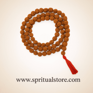 Rudraksha 5 mukhi jaap Mala