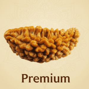 1 Mukhi / Faced Rameshwaram