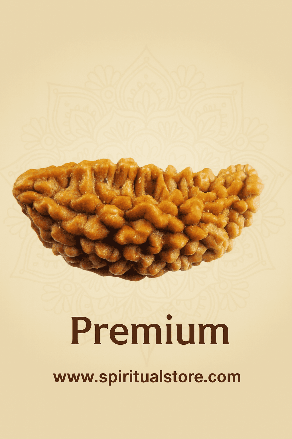 1 Mukhi / Faced Rameshwaram