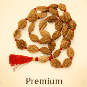 Spritual Store 2 mukhi rameswaram kantha 32+1 beads Original 2 Mukhi Rudraksh Kantha Mala 2 Face Rudraksha Mala