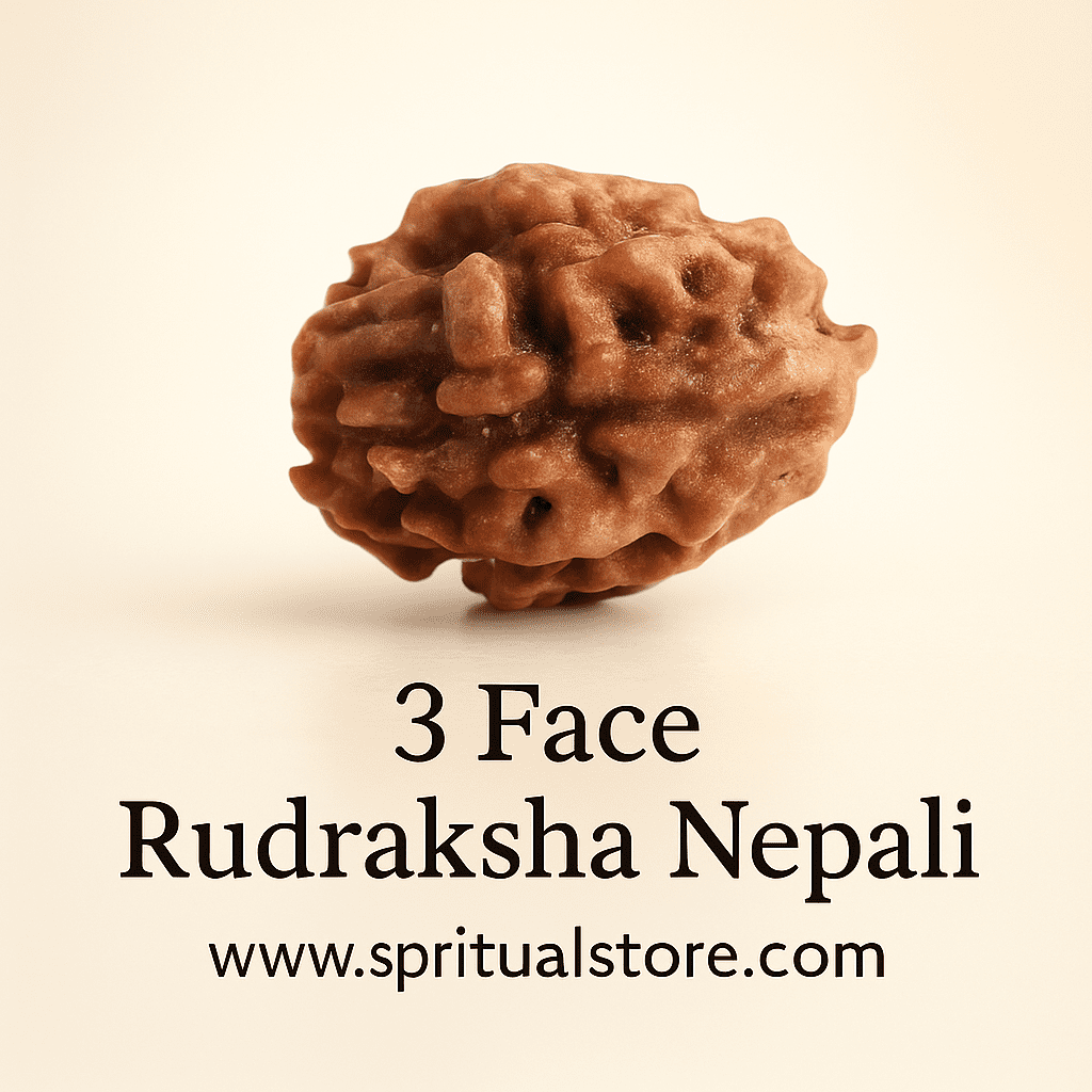3 face / Mukhi Nepali Rudraksha