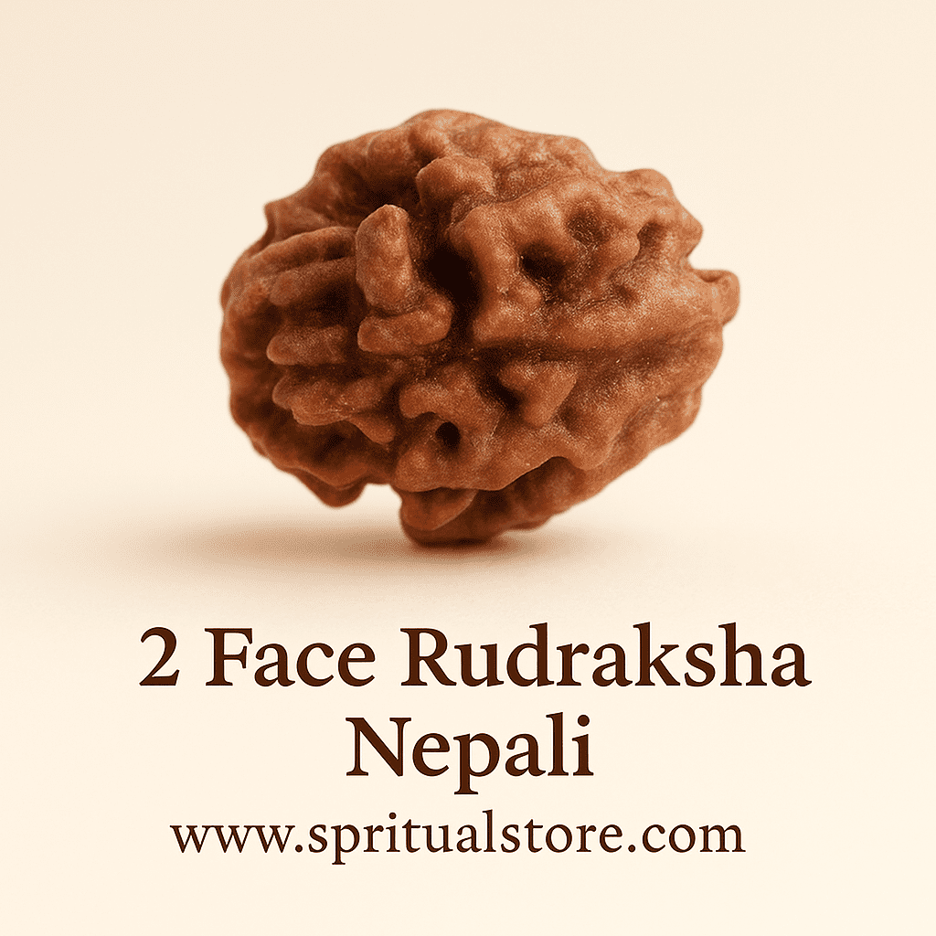 2 face / Mukhi Nepali Rudraksha