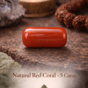 Natural Red Coral (Moonga) – 5 Carat