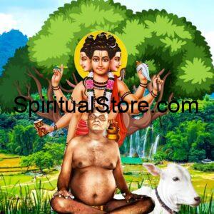 Bhagwan Nityanand High Quality Spiritual Photo Print